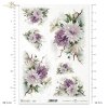 flower, flowers, bud, buds, leaf, leaves, garden, meadow, bouquet, bouquets, asters, background, ornament, floral, Blume, Knospe, Knospen, Blatt, Blätter,Astern, Garten, Wiese, Strauss, Sträusse, Hintergrund, Ornamen